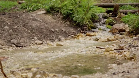 Close-up of a small river in Slovenia Stock Footage 283564627