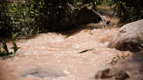 Close-up of small river water-1 Video stock 292593126