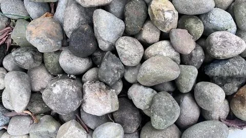 Close up of small rounded stones in gray green and brown hues, irregular shap Stock Photos
