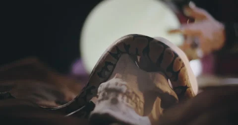 Close up of small serpent crawling on human skull Stock Footage 136882861