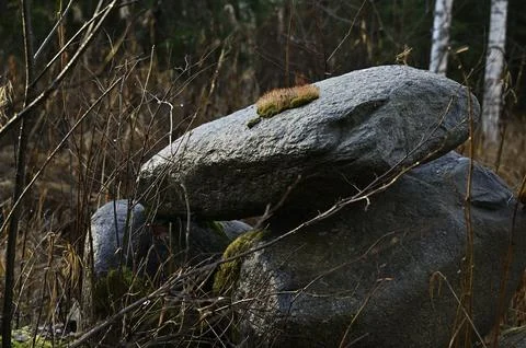 A close-up of a small stack of large, natural stones with a moss-covered Stock Photos