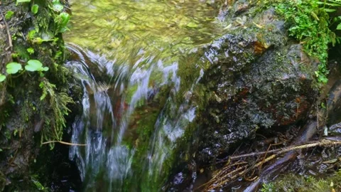 Close-up on a small stream in the forest. Stock Footage 252172965
