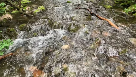 Close up of small stream oncoming with strong silver tones in reflection Stock Footage 114003562