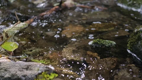 Close Up of a Small Stream of Water Stock Footage 266800837