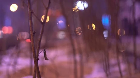 Close up of small twigs in snow with soft bokeh lights in background, China 스톡 동영상 84757928