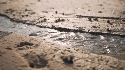Close-up of a small water stream flowing across the sand with tiny pebbles and Video stock 314765302