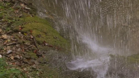 Close up of a Small Waterfall in a Deep Forest Stock Footage 84512266
