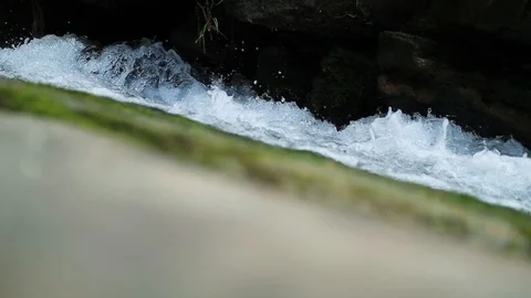 Close up of a small waterfall in a deep forest green nature rock environment Stock Footage 99370635