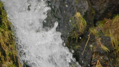 Close up of a small waterfall down the side of a hill, covered in grass and moss Video stock 126598553