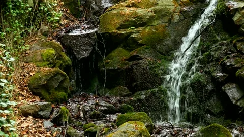 Close-up of small waterfall on a forest stream with the sound Stock Footage