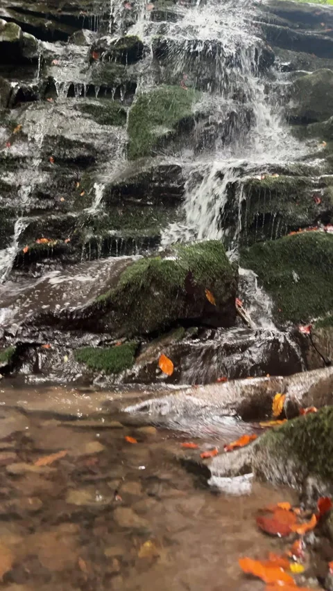 Close up of small waterfall or river runs down hill in early autumn at calm day Stock Footage 323769310
