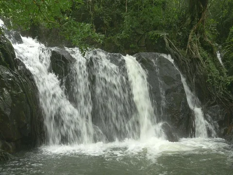 Close up of a small waterfall in tropical forest with sound Video stock 78287198