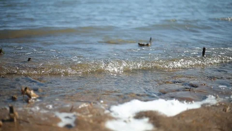 Close Up Small Waves Splashing On Shore Stock Footage 103069140