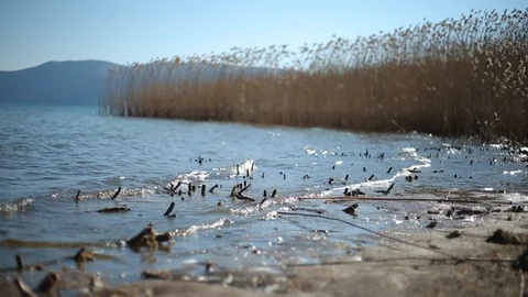 Close Up Small Waves Splashing On Shore Stock Footage 103070393