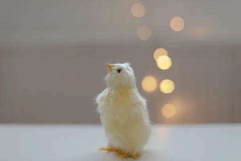 Close-up of a small yellow chicken. Easter card with a copy space. Spring Easter Stock Photos