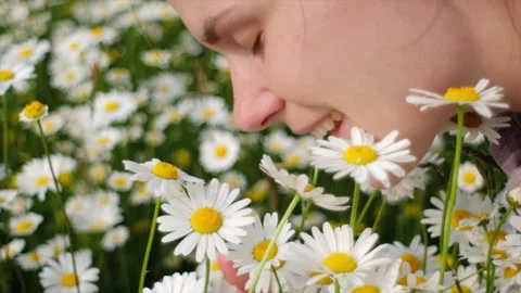 Close up of smiling charming young caucasian woman smelling flowers camomiles Stock Footage 244955524