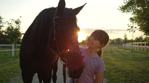 CLOSE UP: Smiling young girl petting beautiful big brown horse at golden sunset Stock Footage