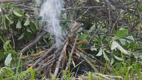 Close-up smoke is coming from a small fire. In the summer. Video stock 91664738