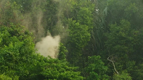 Close-up of smoke rising from an active wildfire in the southern Amazon Stock Footage 340335920