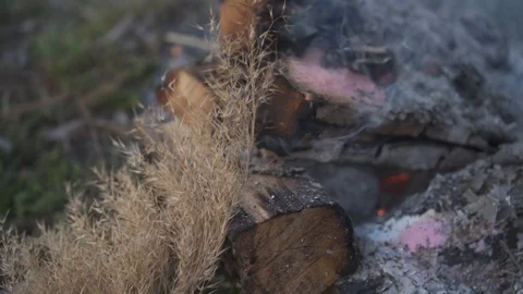 Close-up of smoldering steaming log and ash on the ground near indian grass Stock Footage 110693655