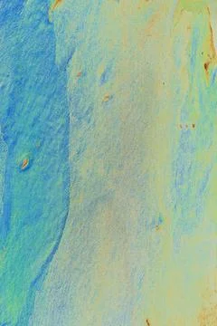 Close-up of the smooth bark of a tree, smooth bark. Changed color scheme. c.. Stock Illustration