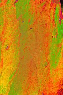 Close-up of the smooth bark of a tree, smooth bark. Changed color scheme. c.. Stock Illustration