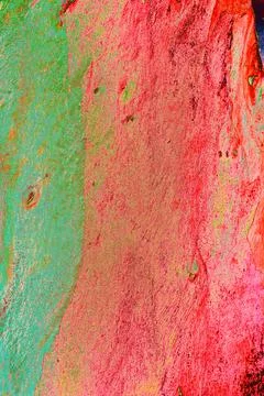 Close-up of the smooth bark of a tree, smooth bark. Changed color scheme. c.. Stock Illustration