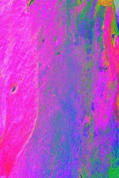 Close-up of the smooth bark of a tree, smooth bark. Changed color scheme. c.. Stock Illustration