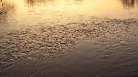 Close-up of the smooth movement of water on the surface of the city pond  Video stock 111431775