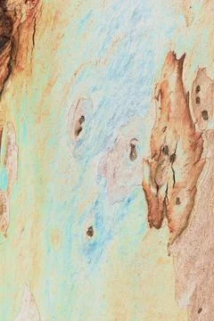 Close-up of smooth tree bark, smooth bark with few knots. Changed color sch.. Stock Illustration