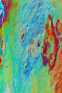 Close-up of smooth tree bark, smooth bark with few knots. Changed color sch.. Stock Illustration