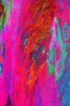 Close-up of smooth tree bark, smooth bark with few knots. Changed color sch.. Illustrazione stock