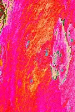 Close-up of smooth tree bark, smooth bark with few knots. Changed color sch.. Stock Illustration