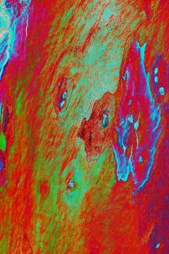 Close-up of smooth tree bark, smooth bark with few knots. Changed color sch.. Stock-Illustration