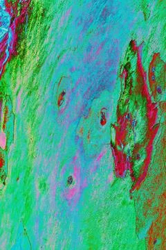 Close-up of smooth tree bark, smooth bark with few knots. Changed color sch.. Stock Illustration