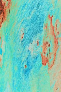 Close-up of smooth tree bark, smooth bark with few knots. Changed color sch.. Stock Illustration