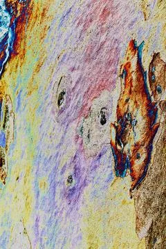 Close-up of smooth tree bark, smooth bark with few knots. Changed color sch.. Stock Illustration