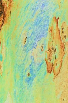 Close-up of smooth tree bark, smooth bark with few knots. Changed color sch.. Stock Illustration