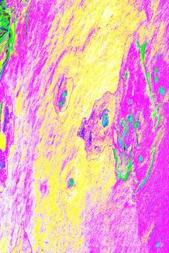 Close-up of smooth tree bark, smooth bark with few knots. Changed color sch.. Stock Illustration