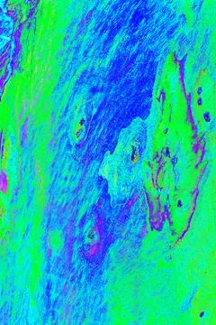 Close-up of smooth tree bark, smooth bark with few knots. Changed color sch.. Stock Illustration