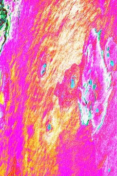 Close-up of smooth tree bark, smooth bark with few knots. Changed color sch.. Stock Illustration