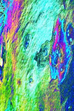 Close-up of smooth tree bark, smooth bark with few knots. Changed color sch.. Stock-Illustration