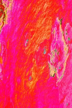 Close-up of smooth tree bark, smooth bark with few knots. Changed color sch.. Stock-Illustration