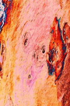 Close-up of smooth tree bark, smooth bark with few knots. Changed color sch.. Illustrazione stock