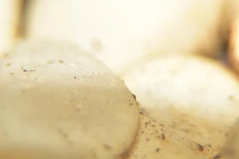 Close up of smooth white stone 库存照片