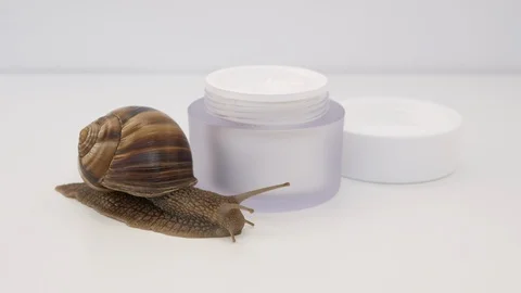 Close up of a snail moving towards a jar of skin cream Stock Footage 115840434
