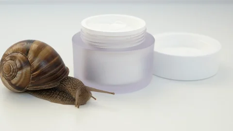 Close up of a snail moving towards a jar of skin cream Stock Footage 115842139