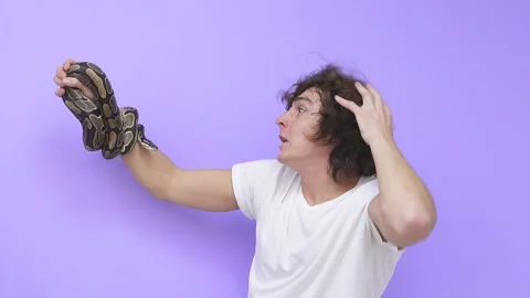 Close-up of a snake crawling on a man's arm. A person stares at a snake, he is Stock Footage 157637484