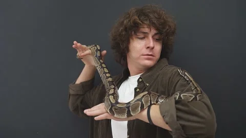 Close-up of a snake crawling on a man's arm. A person stares at a snake, he is Stock Footage 158142889