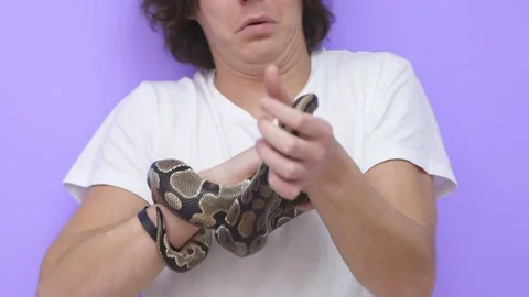 Close-up of a snake crawling on a man's arm. A person stares at a snake, he is Video stock 158143485